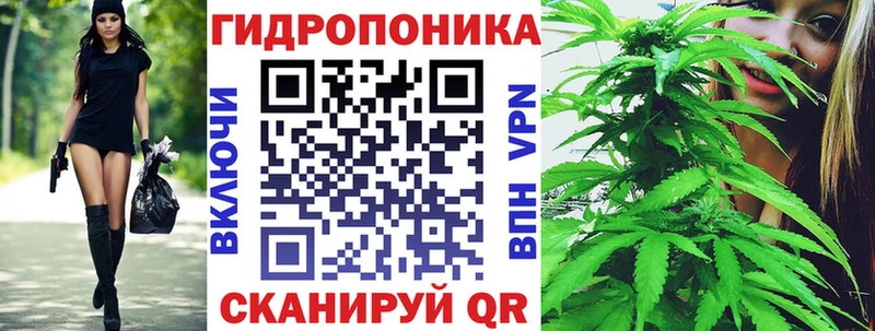 KRAKEN зеркало  Ковылкино  Шишки марихуана LSD WEED 